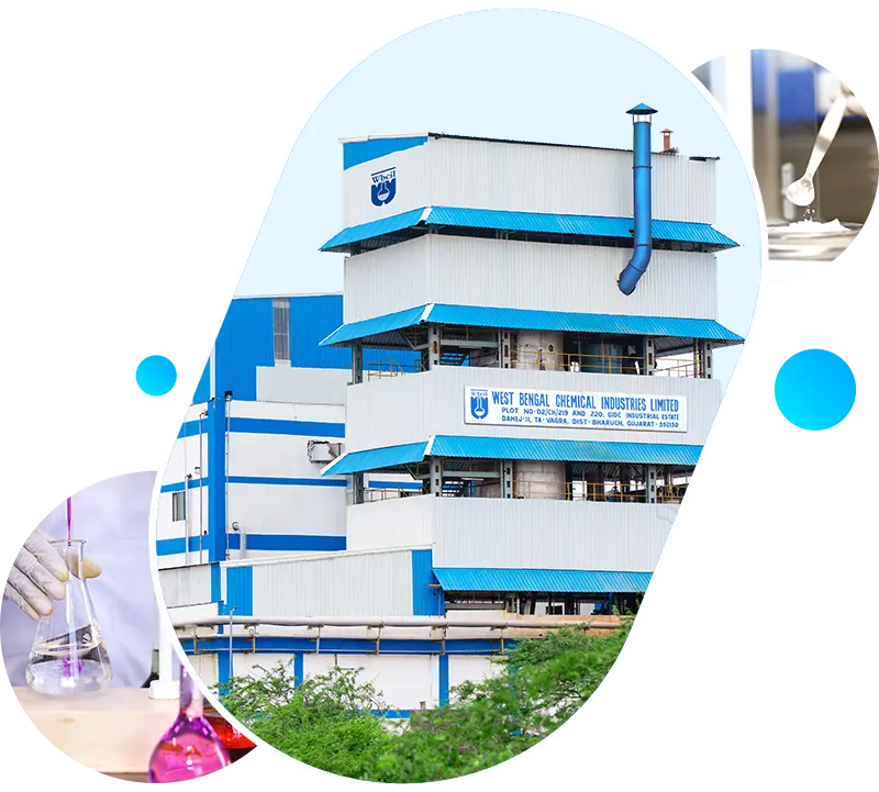 About WBCIL