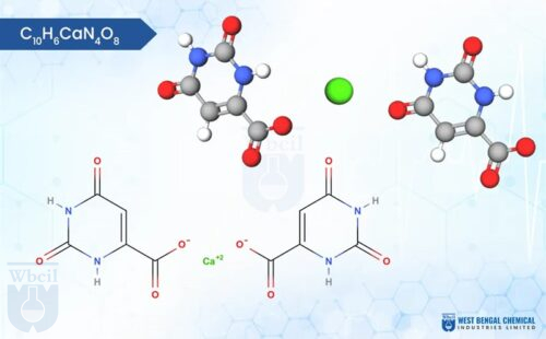 Calcium Orotate - WBCIL