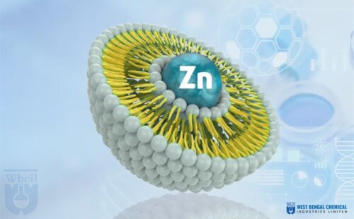 Liposomales Zink