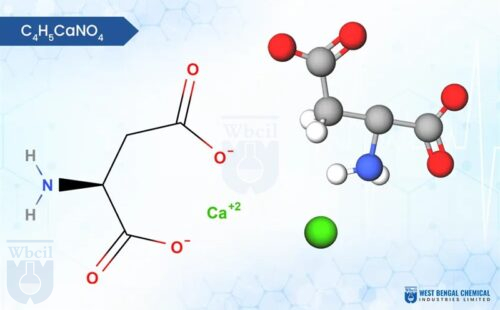 Calcium Aspartate - WBCIL