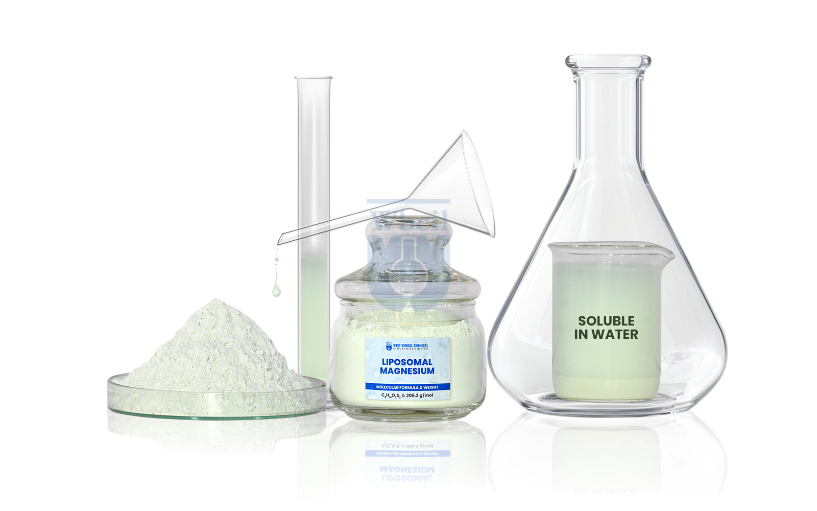 Liposomal Magnesium - WBCIL