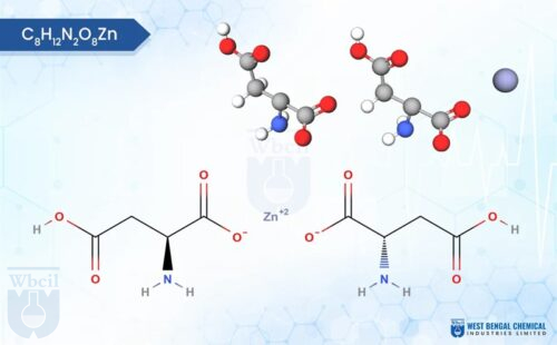 Zinc aspartate