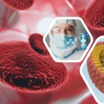 Voordelen van liposomaal ijzer voor supplementen