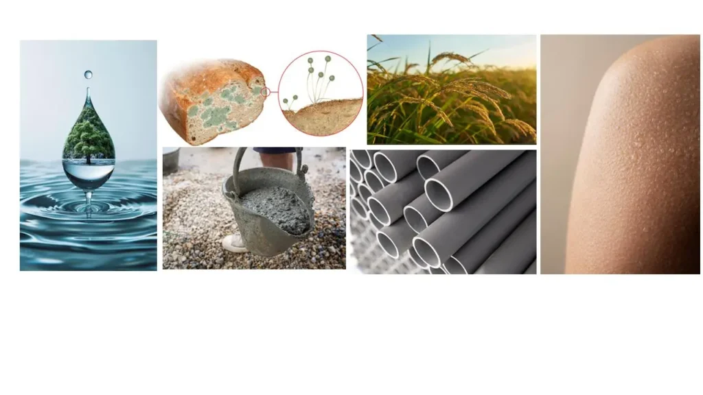 calcium acetate uses