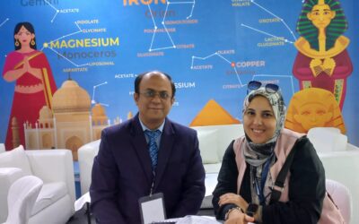 P&C, Egypt - WBCIL