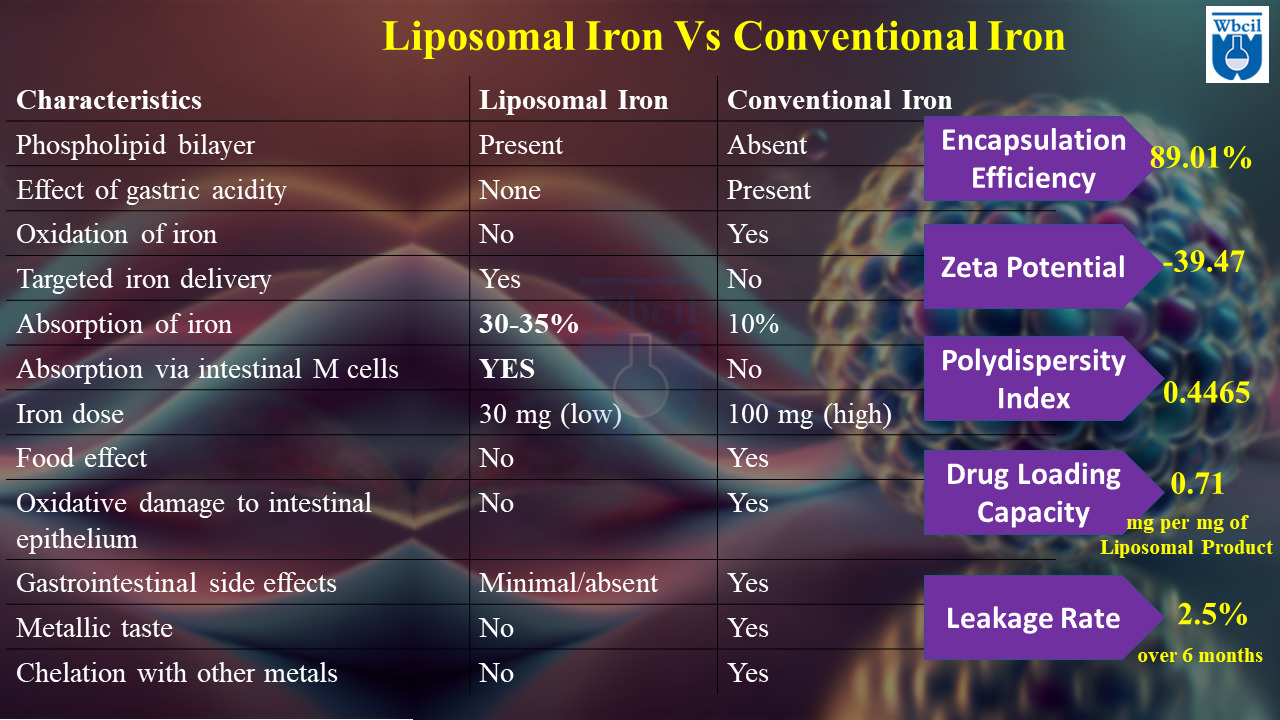 Liposomal Iron: A Revolutionary Iron Supplementation Solution