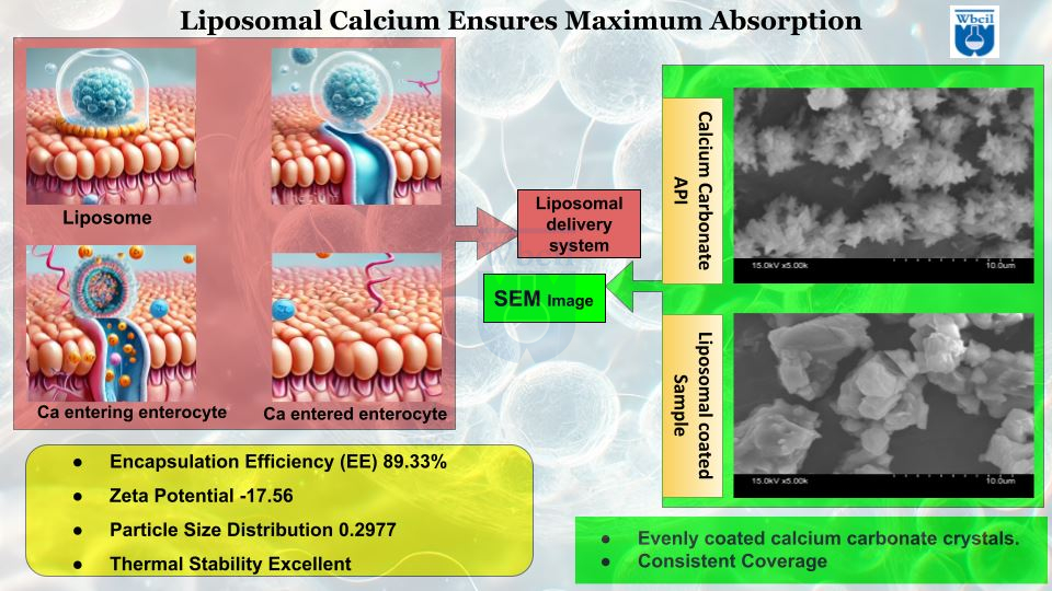 Liposomal calcium and its benefits by WBCIL