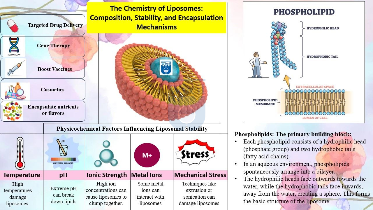 Liposomes: Chemistry, Composition, Stability, and Encapsulation