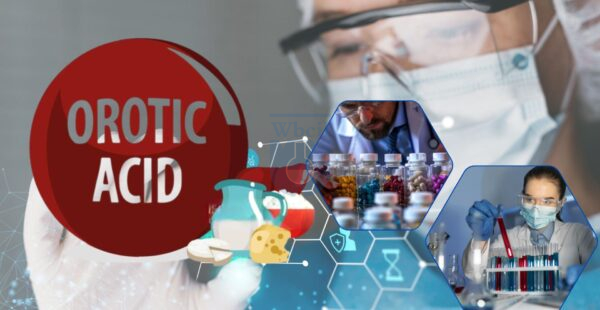 Orotic Acid benefits
