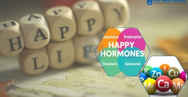 Happy Hormones