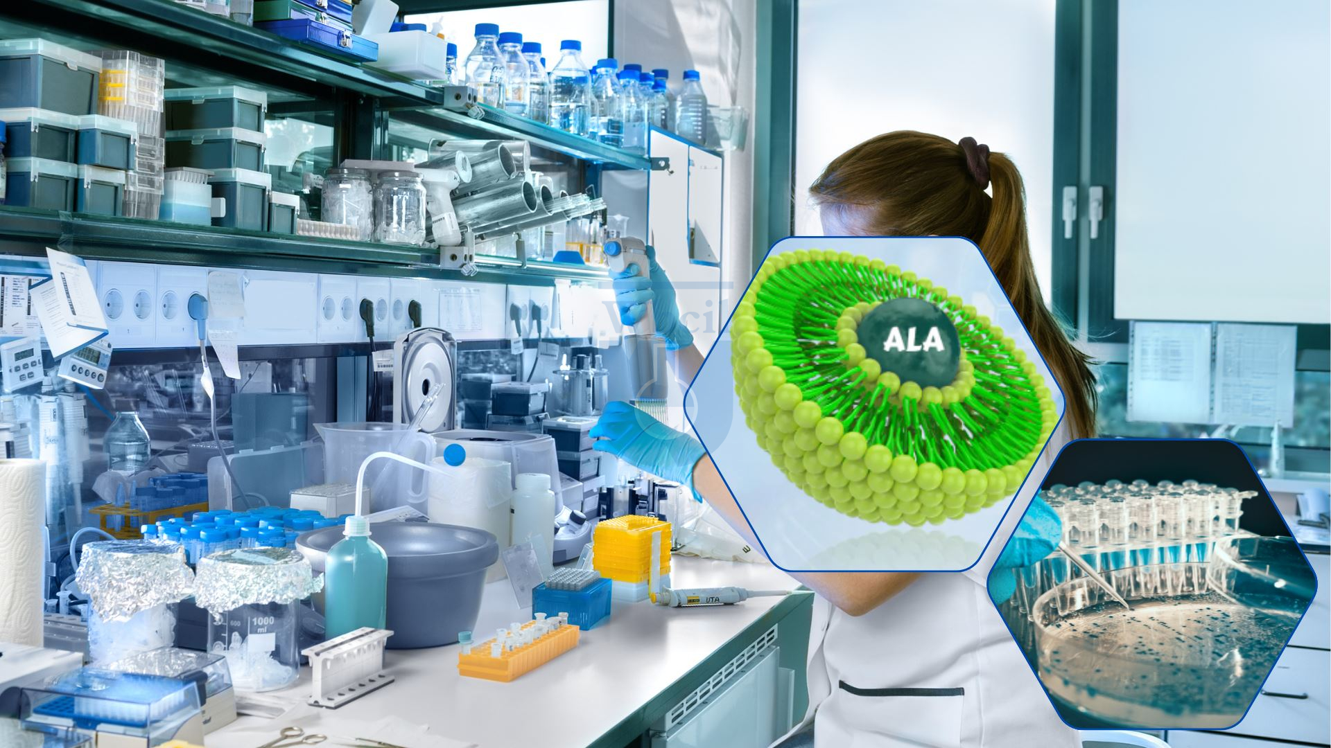 Alpha Lipoic Acid benefits