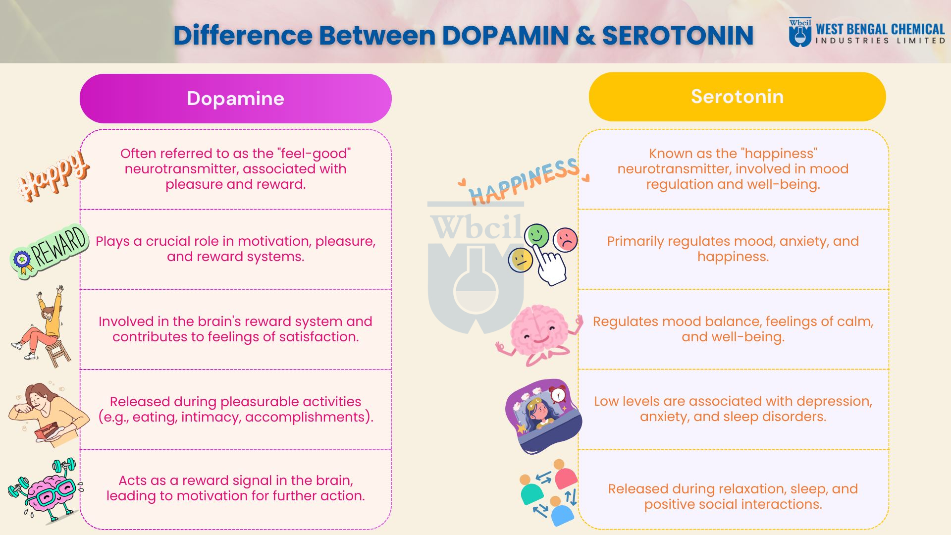 Happy Hormones: How Minerals Support Mental Wellness
