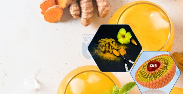 Liposomal curcumin benefits in Beverage Industry