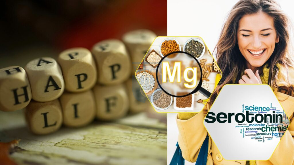 View of Magnesium for Anxiety, Depression and Mood Function - The Key