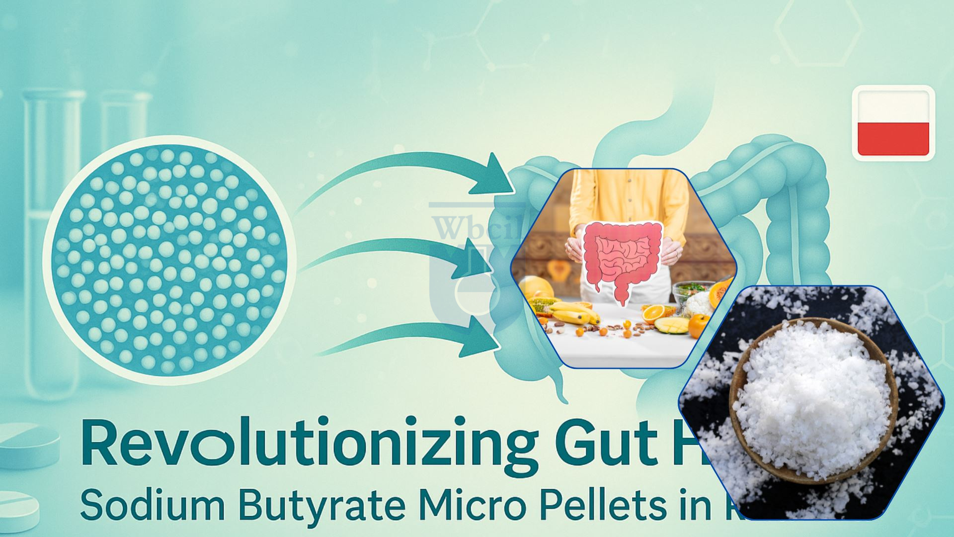 Бутират натрия и Польша