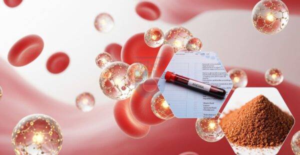 Usos del complejo de hidróxido de polimaltosa