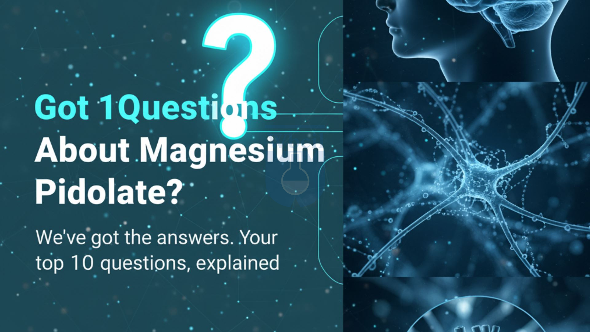Magnesium Pidolate FAQs