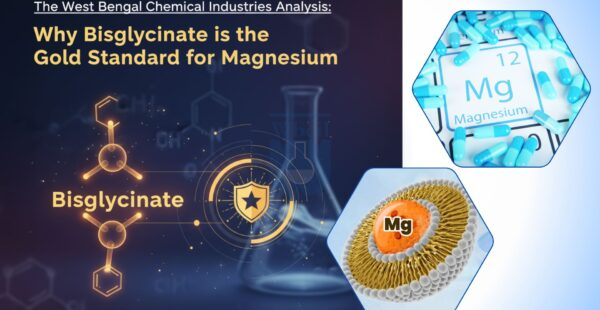 Le bisglycinate est la référence en matière de magnésium