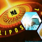 Download Liposomal whitepaper