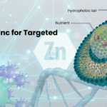 liposomal zinc in cancer