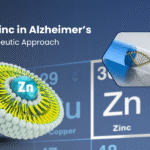 Liposomal zinc in Alzheimer's