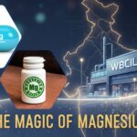 leading magnesium salts manufacturer