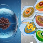 Evolution of liposomal Iron Encapsulation Technology