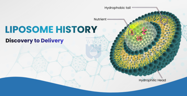 Liposome History