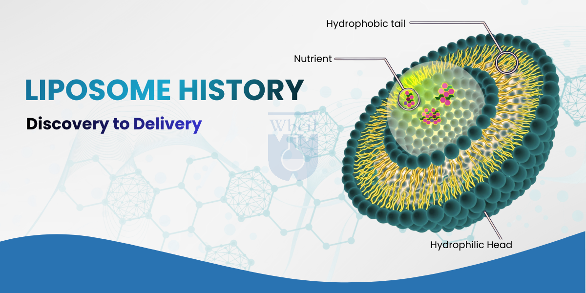 Liposome History