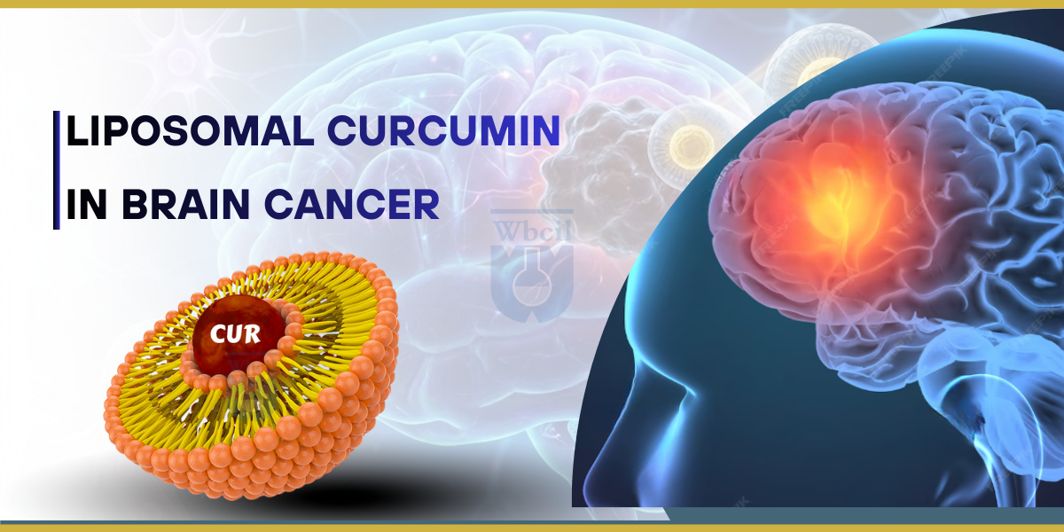 Liposomal Curcumin in Brain Cancer