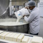 calcium acetate and paneer industry