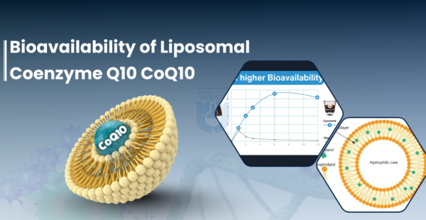 bioavailability of liposomal coq10