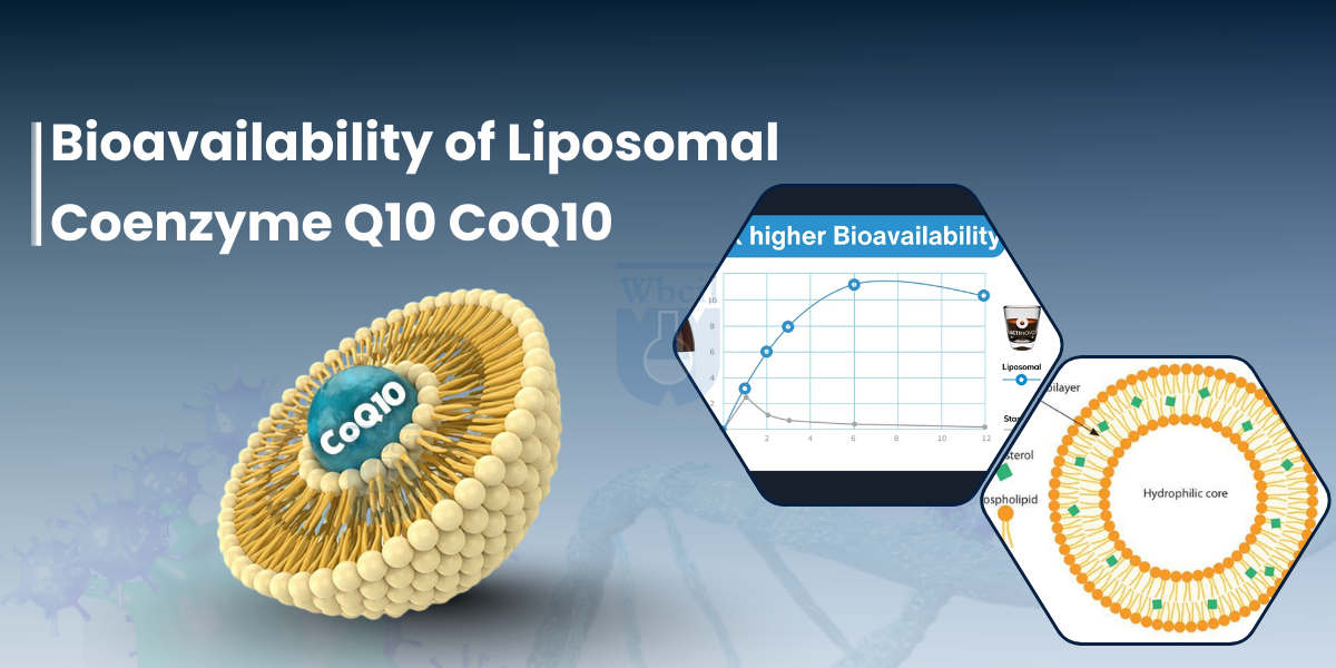 bioavailability of liposomal coq10