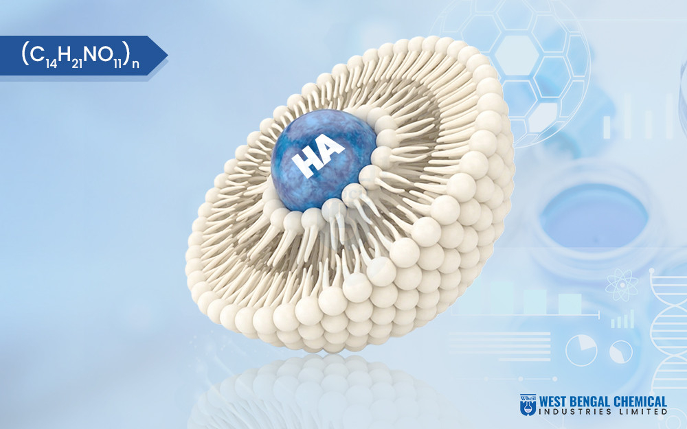 Liposomal Hyaluronic Acid - WBCIL