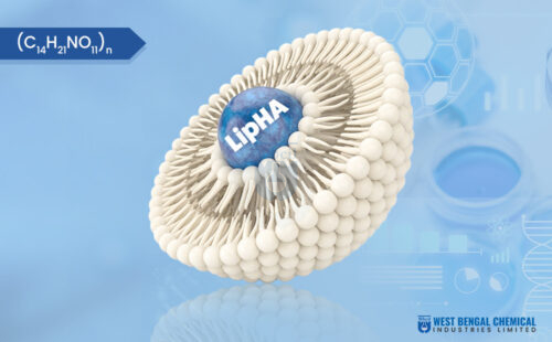 Liposomal Hyaluronic Acid - WBCIL