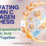Liposomal vitamin collagen synthesis