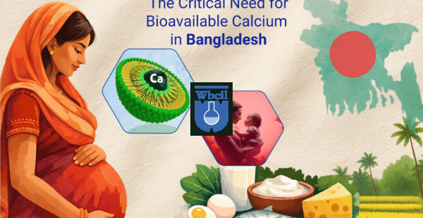 Maternity health crisis in Bangladesh