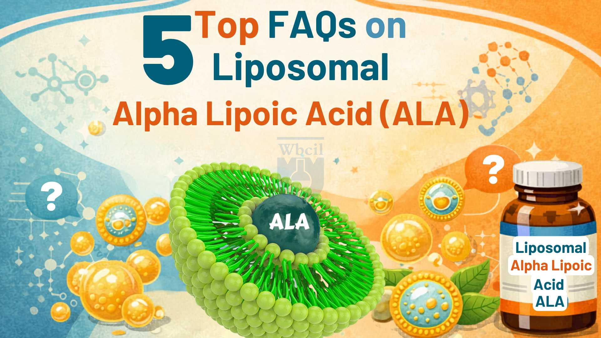 Top 5 FAqs on Liposomal ALA
