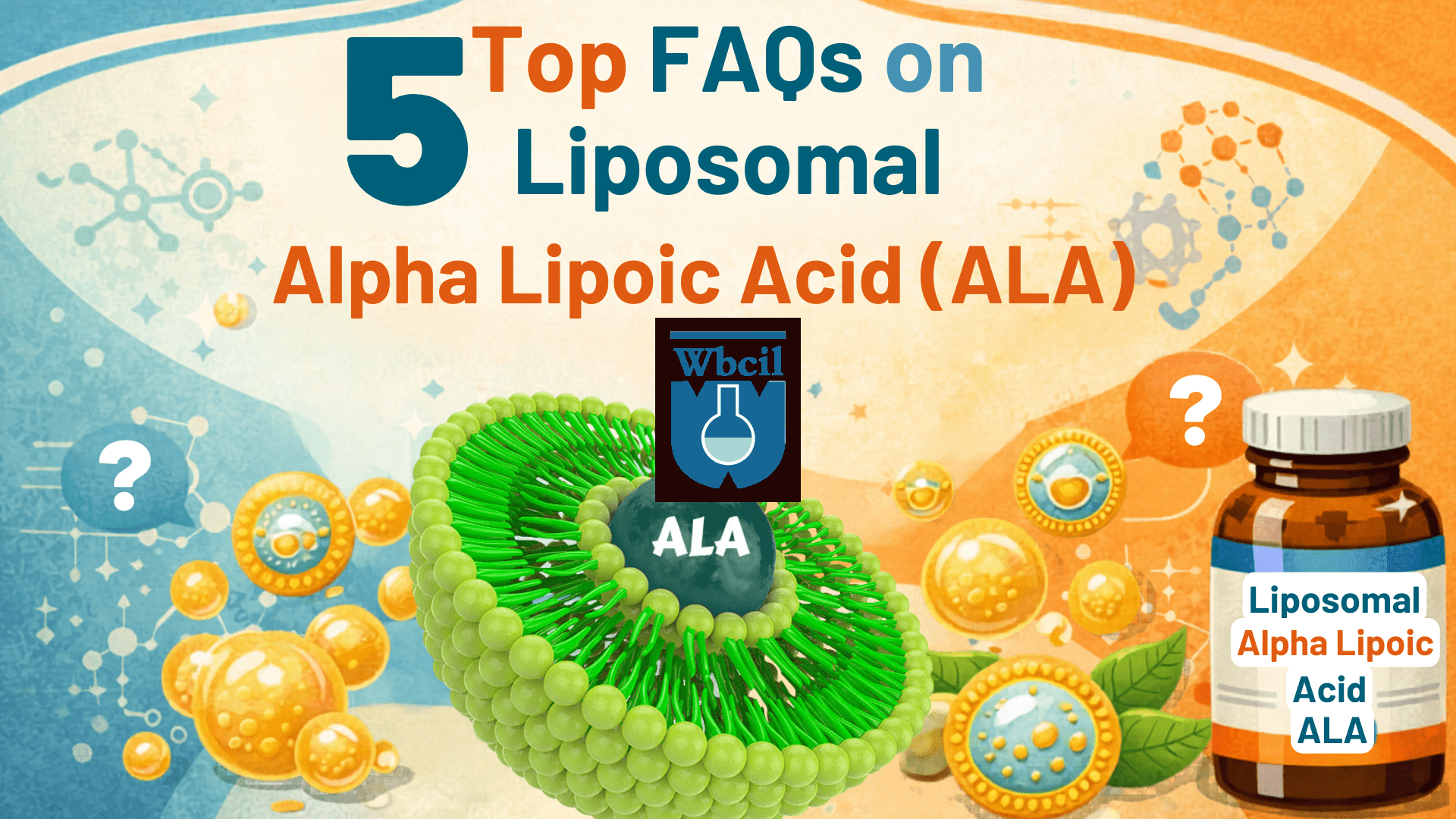 Top 5 FAqs on Liposomal ALA