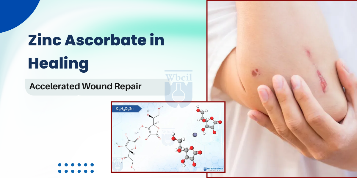 Zinc Ascorbate in Healing