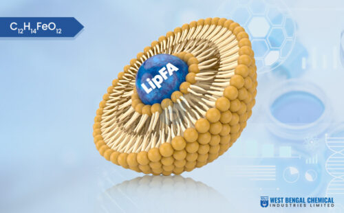 liposomal - Ferrous Ascorbate - WBCIL