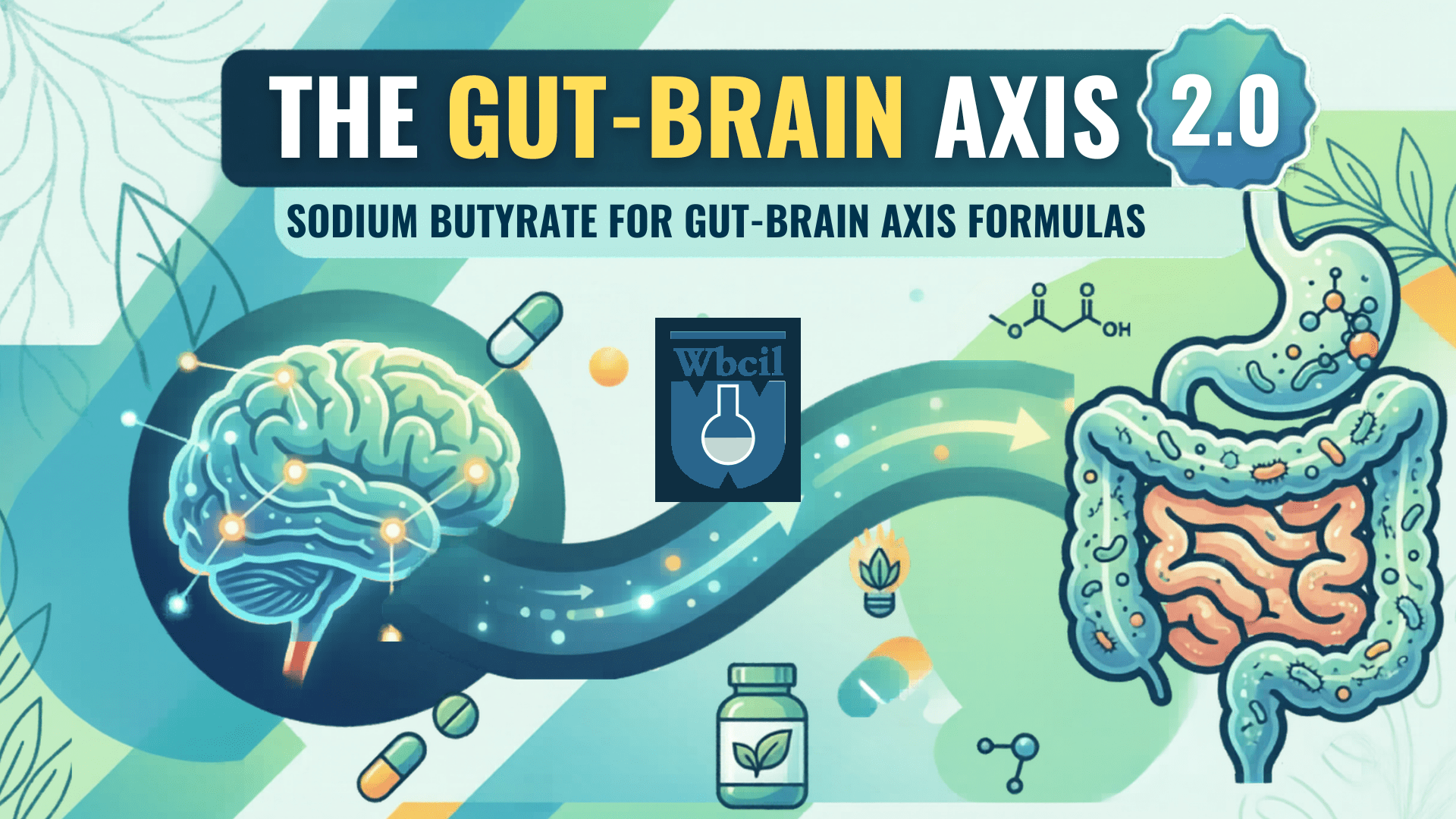 sodium butyrate for gut brain axis formulas