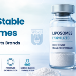 shelf stable liposomes