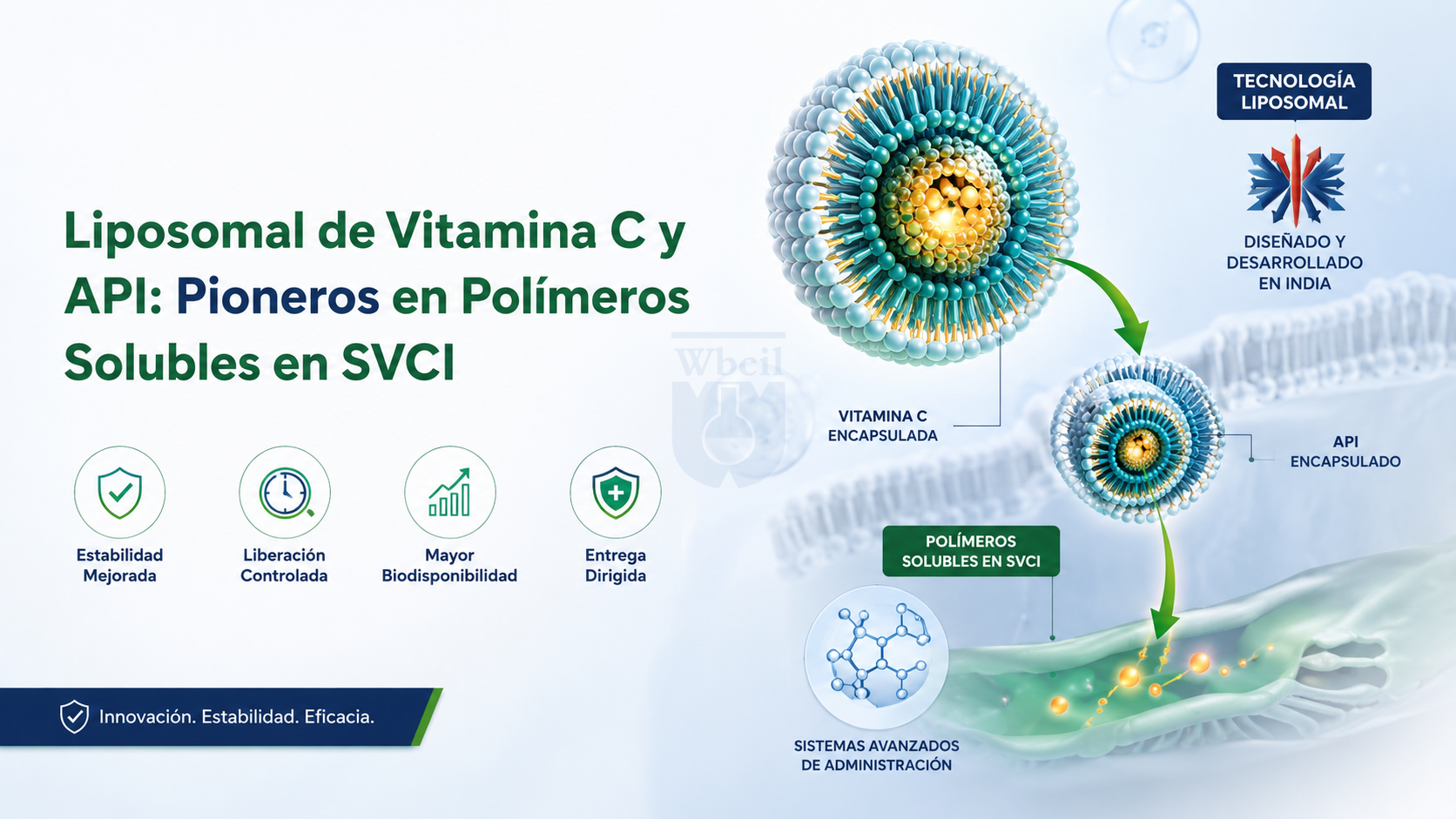 Principio activo de vitamina C liposomal que elude las vías saturables del SVCT1