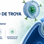 liposomas «caballo de Troya»