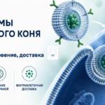 липосомы типа «троянский конь»